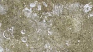 Освобождение от чужого токсичного мнения