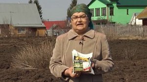 Как повысить плодородие почвы. Восстановление плодородия почвы