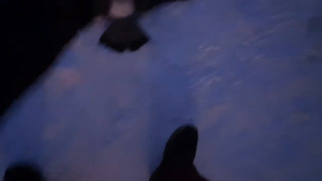 голубь замерз