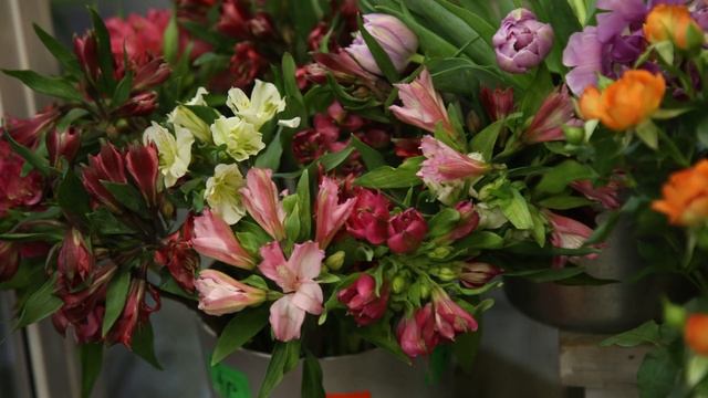 "Чем дороже подарок, тем меньше букет". Борисовский флорист — о моде на цветы и стереотипах смотреть онлайн