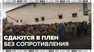 ВСУ стали сдаваться в плен без сопротивления - Москва 24