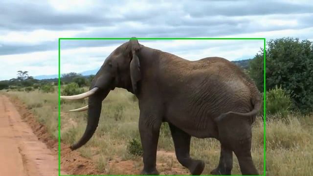 Wild Animal Detection using Deep Learning / Computer Vision - Python смотреть онлайн