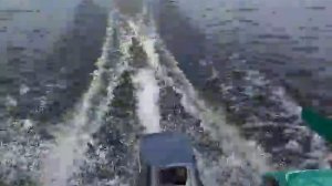 Прогресс 2 и Ямаха 8 1