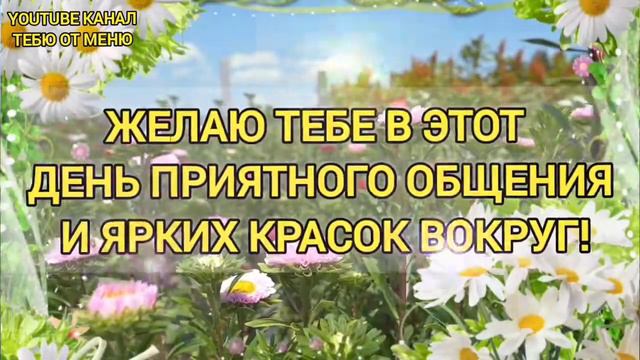 Замечательного Утречка 🌞 Мира и Добра 🌹 С Добрым Утречком Хорошего Дня Открытка #сдобрымутром