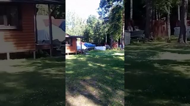 видео от дяди