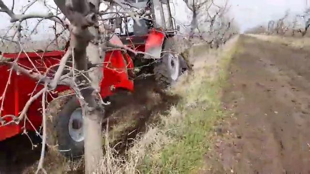 Разбрасыватель органических удобрений в плодовых садах.
