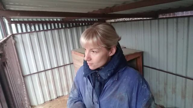 Волонтер зооприюта Новой Москвы / ТиНАО "Дворяне" смотреть онлайн