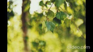 Иван Бунин  -  Мы встретились случайно, на углу.