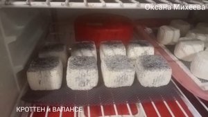 Тонкости в приготовлении сыров КРОТТЕН и ВАЛАНСЕ.