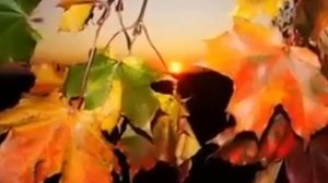 Гарри Мур - Струны осени.