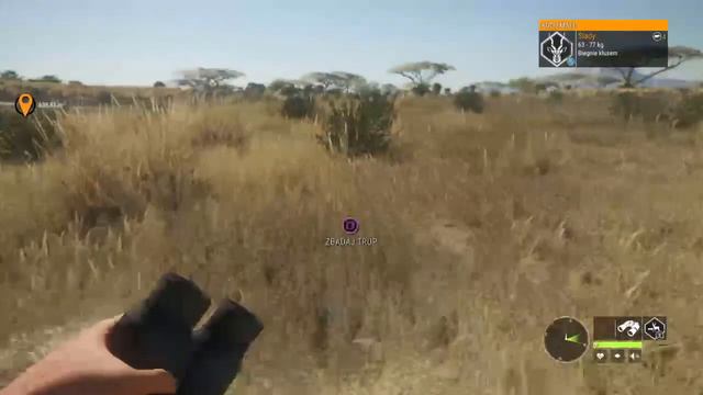 The hunter call of the wild (POLAND) savanna смотреть онлайн