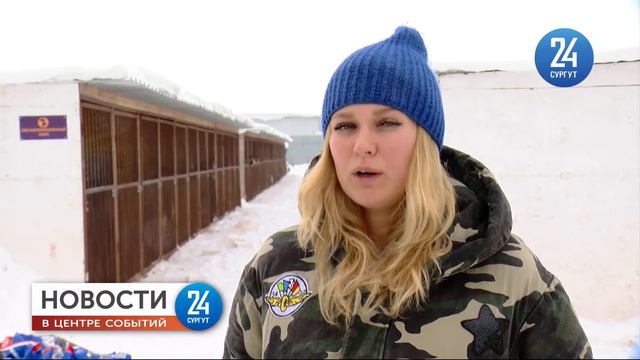 Приют для животных в квартире смотреть онлайн