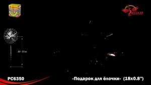 рс6350