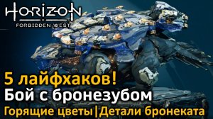 Horizon Forbidden West | Бой с бронезубом | 5 лайфхаков | #1 Горящие цветы | #2 Детали бронеката
