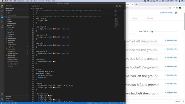 How to Download & Use Local Fonts in Angular Application | ANGULAR 10 ...