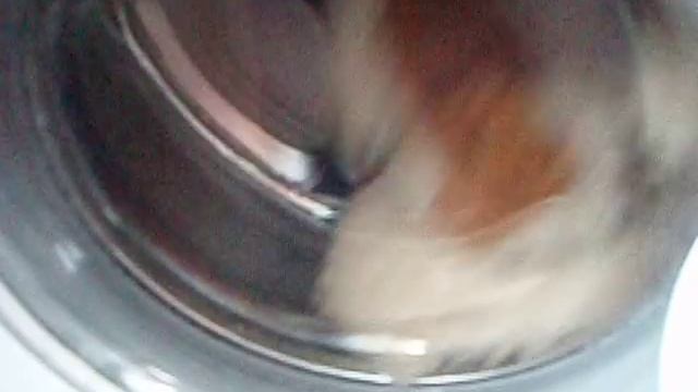 Bear in washing machine/Стираем плюшевого медведя в стиралке смотреть онлайн
