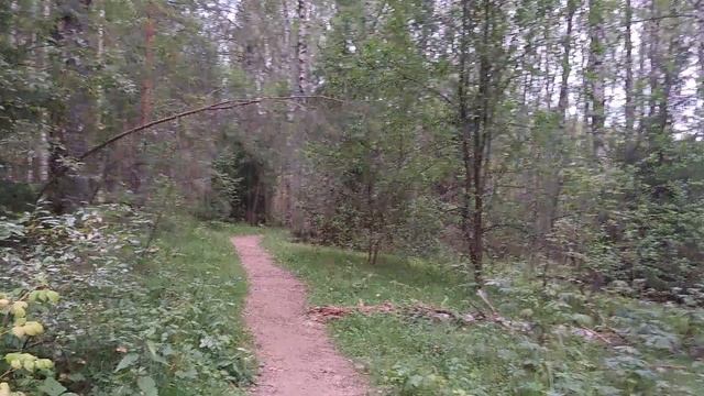 Озеро Светлояр. Нижегородская область. 2023 г