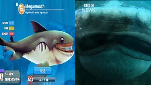 Hungry Shark World in Real Life Part 5