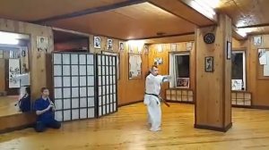 Ryukyu Kobudo Shimbukan / kata Akamine no nunchaku