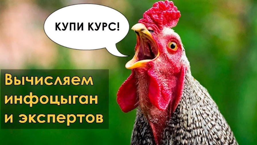 Как инфоцыгане продают воздух разбираем схемы продаж и их курсы