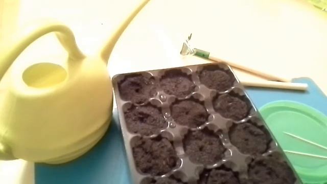 #КЛУБНИКА Посадка семян Самый щадящий способ #ОГОРОД на БАЛКОНЕ с нуля смотреть онлайн