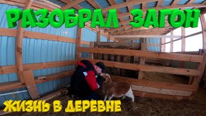 Разобрал загон . На что снимаю ролики ? [Жизнь в деревне]