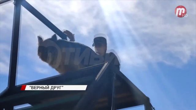 В Бурятии определяют лучших военных кинологов смотреть онлайн