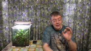 АКВАРИУМ И ОТКЛЮЧЕНИЯ ЭЛЕКТРОЭНЕРГИИ - что делать и как быть