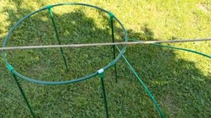 Какие опоры выбрать для метельчатых гортензий? 20.07.2022