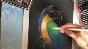 ИЗО. Рисование по наждачной бумаге «Попугай» (Юшкевич Ю. В.)