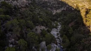 Старик не верил глазам, глядя на то кого волчица принесла к собачьей будке. Это был младенец