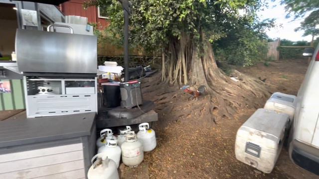 USA, Oahu. Буржуйские поля ананасов