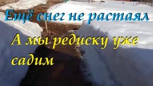 Ещё снег не растаял а мы уже редиску садим. Всё о жизни в деревне на Урале