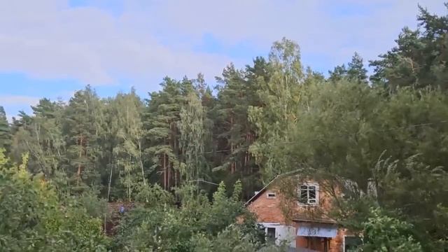 КАК СИЛЫ СПАСАЮТ СУДЬБЫ  #ВЕДЬМИНАИЗБА ▶️ #МАГИЯ