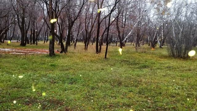 Свекровь и свекор выставили невестку из дома за отказ копать картошку. - Она обязана помогать нам..