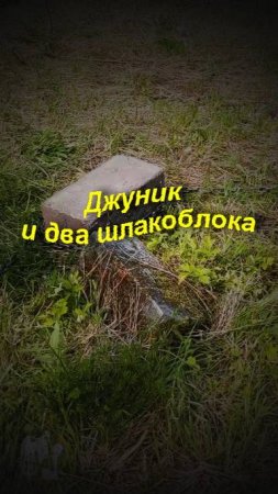 Лошади они такие, даже на привязи, если вокруг нет деревьев, найдут за что зацепиться. 🙆♀