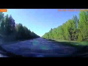 КамАЗ сбил лося на трассе Кудымкар - Гайны