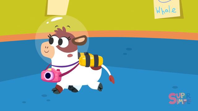 Shelly The Snail | Kids Counting Song | Finny The Shark