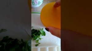 Омолаживающий лосьон из петрушки для лица