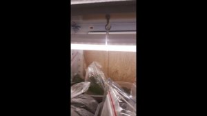 Как закрепить лампы на металлическом стеллаже? Всё очень просто. Способ есть.