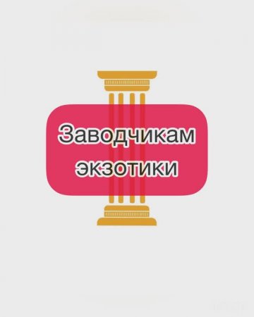 Заводчикам экзотики. Сервалы под запретом
