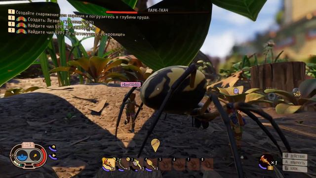 Grounded играем с друзьями в 4 Пираты смотреть онлайн