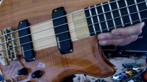 Alembic Essence 4 Bass Guitar Ebay Item number: 300432513796