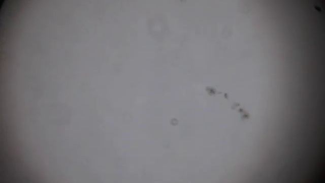 Солнце 1.04.2017 смотреть онлайн