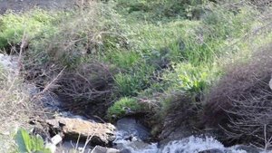 Дагестан. Ханский мост. Сулейман Стальский район.