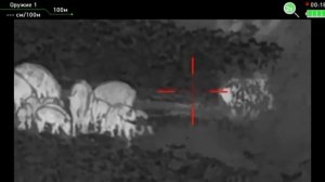 Тепловизионный прицел Dedal-Aper в деле