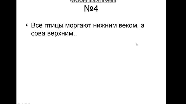 Топ 5 фактов о животных смотреть онлайн