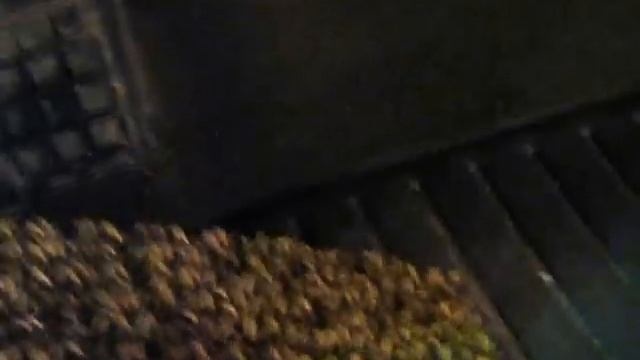 Главное - сухо смотреть онлайн