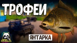 RF4 ТРОФЕЙ ЗА ТРОФЕЕМ ЭТО РЕАЛЬНО #рр4