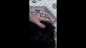 ПОЙМАЛИ СУЩЕСТВО ПОХОЖЕЕ НА НАСТОЯЩЕГО ДОМОВОГО!!!